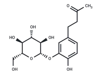 Myzodendrone