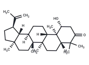 Glochidonol