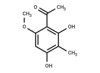 Ebracteolata cpd B