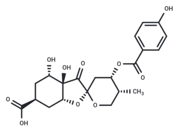 Glochicoccin D