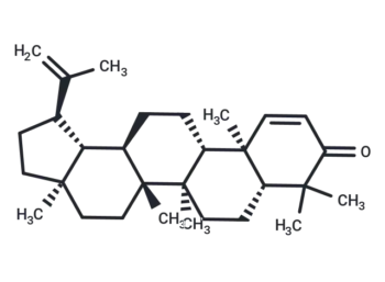 Glochidone