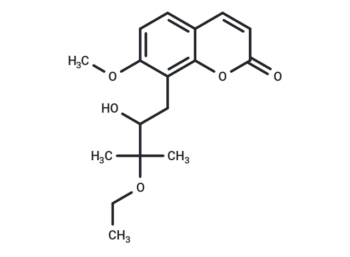 Yuehgesin C