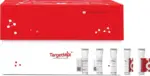 GRO beta/CXCL2 Protein, Mouse, Recombinant