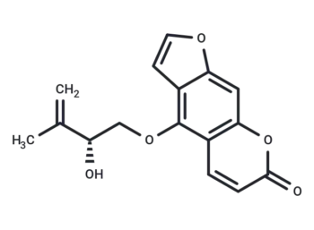 Pangelin