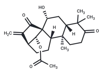 Glaucocalyxin B
