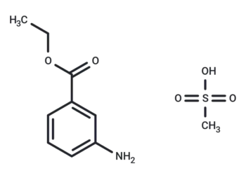 Tricaine methanesulfonate - Buy Online from Immunomart