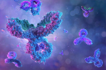 Anti-Mouse IL-4Rα Antibody (REGN1103)