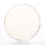 HiMedia GM073 – product image