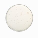 HiMedia GM1151F – product image