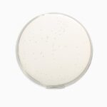 HiMedia GM307 – product image