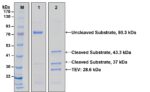 Cat_29090-1000U_Packaging