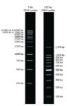 Biotium-Microvial-3