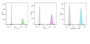 p55;50 EBV-Early Antigen(1108-1), CF488A conjugate, 0.1mg/mL
