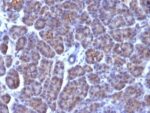 Golgi Complex(AE-6), CF647 conjugate, 0.1mg/mL 1 BNUB0868-0-1