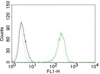 CD71(TFRC/1059), 0.2mg/mL