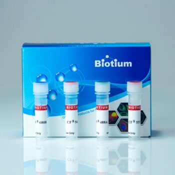 Concanavalin A, CF®750 Conjugate