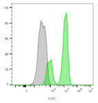 CD3-CF488A-B_B12-PBMC