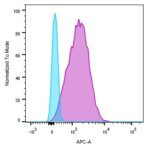 CD45-136-4B5-CF640R-GAM-Raji-surface-110718-AM