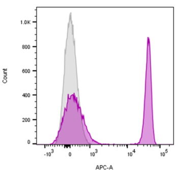 CD4(EDU-2), CF405S conjugate, 0.1mg/mL