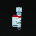 Cat_00021_Packaging-1