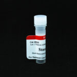 Cat_00025_Packaging-1