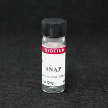 SNAP (S-Nitroso-N-acetylpenicillamine ), 50 mg