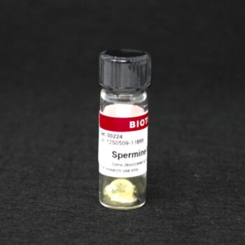 Spermine NONOate, 25 mg