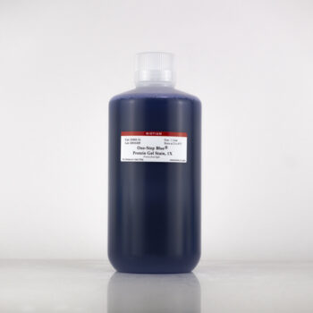 One-Step Blue® Protein Gel Stain, 1X