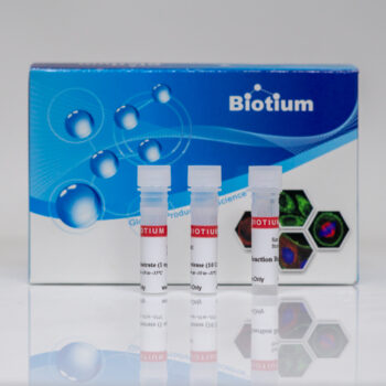 TEV Protease Kit, 10,000 U - 1000 U