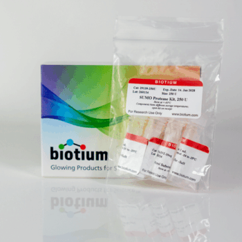 SUMO Protease Kit, 1000 U - 1000 U