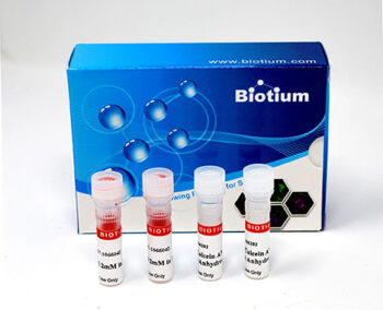 Viability/Cytotoxity Assay Kit for Animal Live & Dead Cells (300 assays)