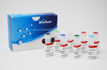AccuBlue® High Sensitivity dsDNA Standards, set of eight, 0.5 mL each