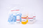 DNA Gel Extraction Kit - 250 Columns