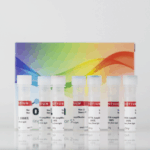Cat_96137-20uL_Packaging