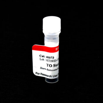 TO Succinimidyl Ester