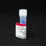 Cat_40080_Packaging-1
