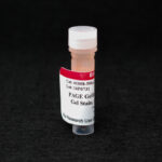 Cat_41008-500uL_Packaging-1