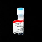 Cat_80122-Packaging-1