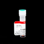 Cat_92004-Packaging-1