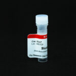 Cat_92167_Packaging-1
