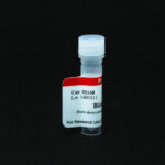 Cat_92168_Packaging-1