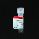 Cat_92169_Packaging-1