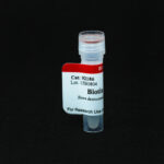 Cat_92186_Packaging-1
