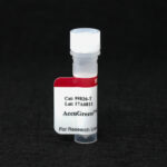 Cat_99820-T_Packaging-1