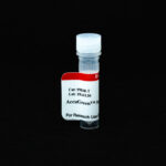 Cat_99838-T_Packaging-1