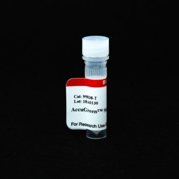 AccuGreen™ Standard 2, 100 ng/uL