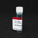 Cat_99962_Packaging-1