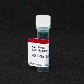 6X DNA Loading Buffer (Orange)
