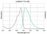 CellBrite