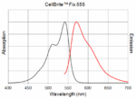 CellBrite